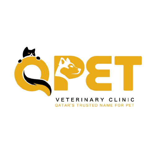 QPet Premium Logo